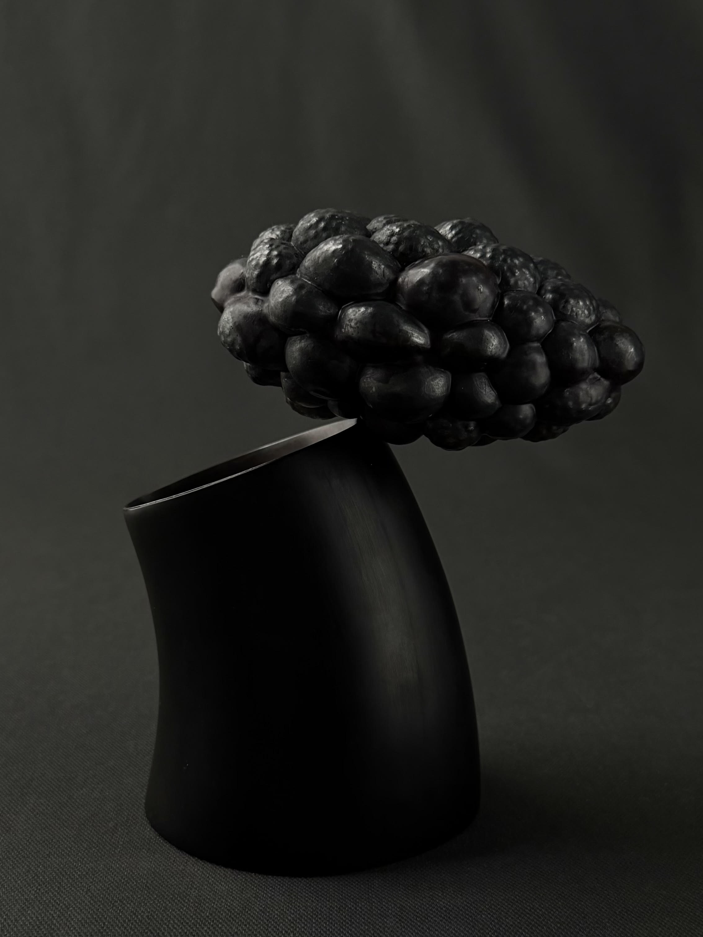 The Cold Press Christina Odegard  Silver Cluster With Encaustic On Bison Horn Mount 2025